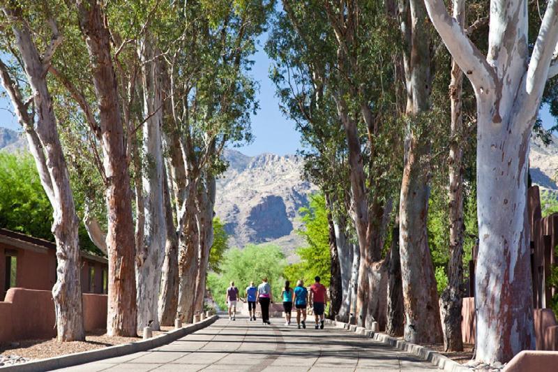 Canyon Ranch Tucson Mount Lemmont 외부 사진