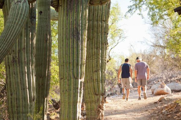 Canyon Ranch Tucson Mount Lemmont 외부 사진