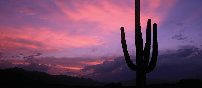 Canyon Ranch Tucson Mount Lemmont 외부 사진