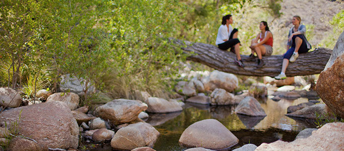 Canyon Ranch Tucson Mount Lemmont 외부 사진